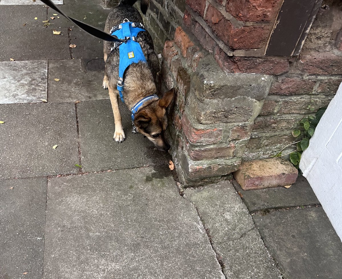 Rory Cellan-Jones tweet media