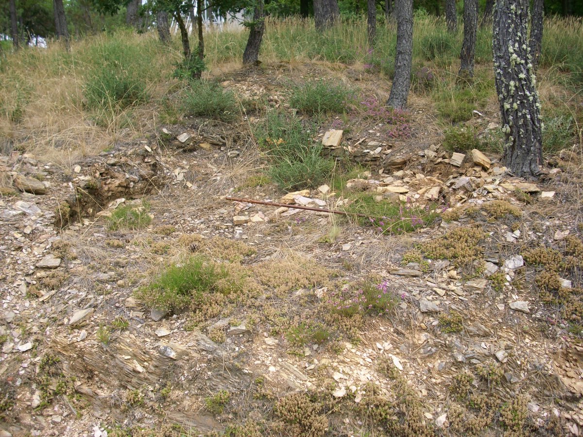📸Fotografías da cabana da croa do Castro de Trelle antes de que desaparecera polo ancheamento da pista forestal, estas foron cedidas por un veciño do concello de Barbadás.