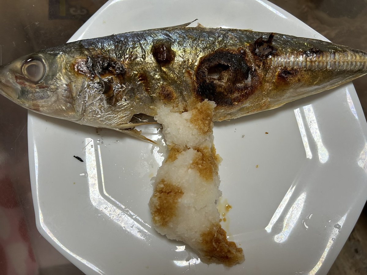 お魚が食べたくて😸

#さびねこ 
#おうちねこ 
#ねこずきさんと繋がりたい 
#おうちごはん