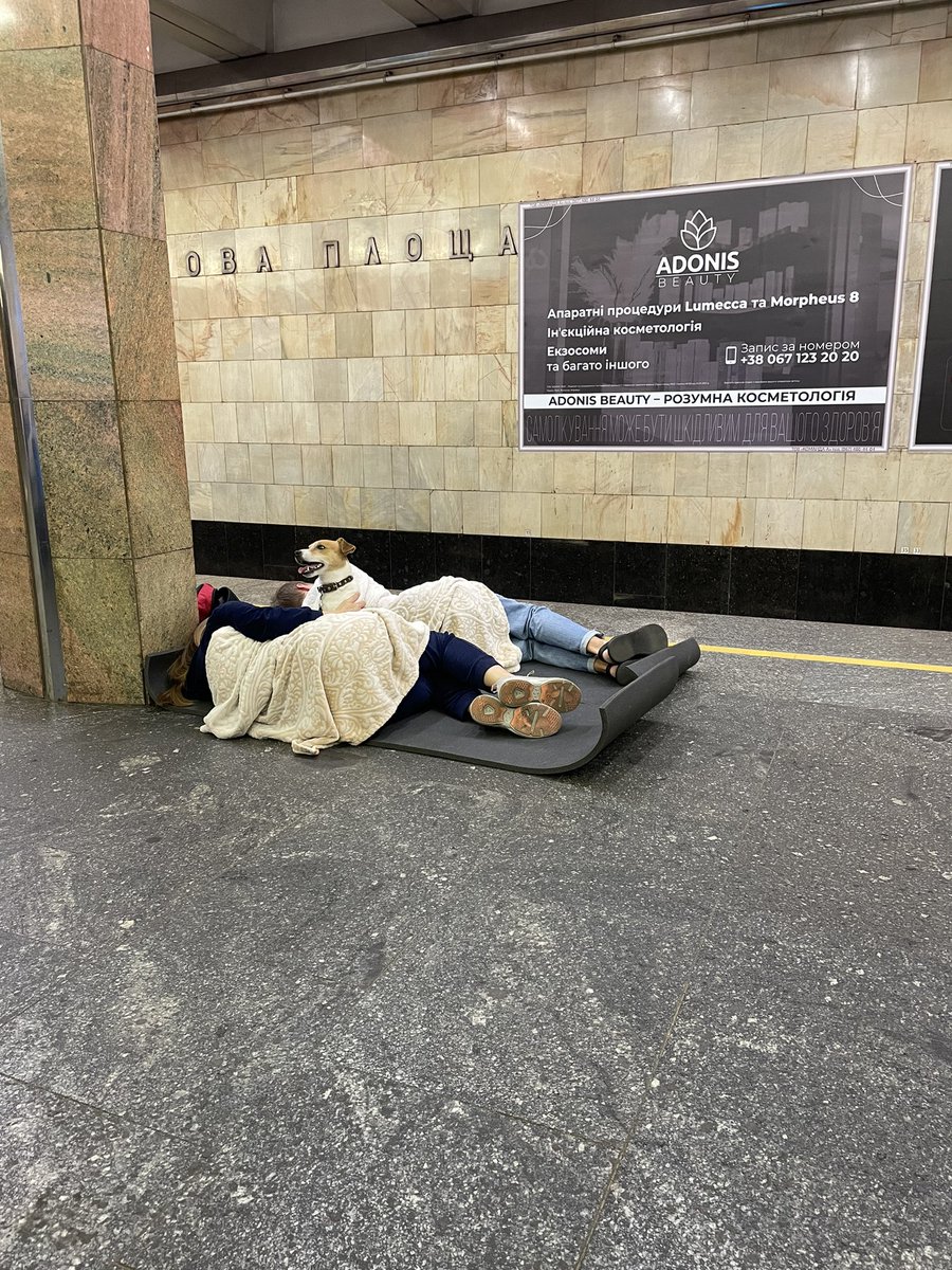 Support UA 🇺🇦 tweet media