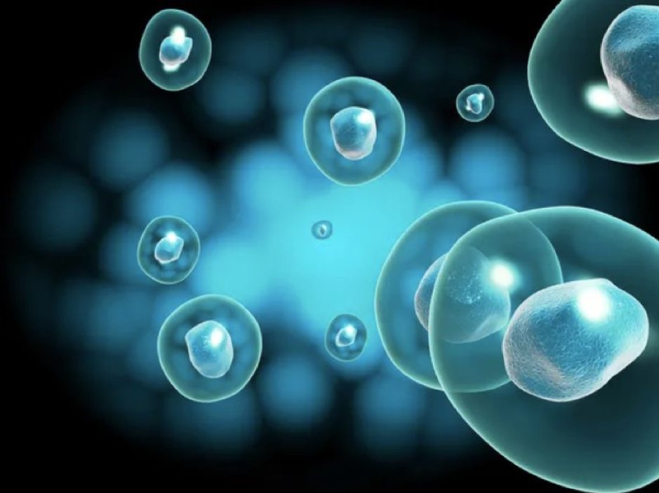 Considered a STEM project for the 12th Kids' Conference Australia 2024 on 25 Nov ? Teachers can register their students here shorturl.at/bj29R &amp; education academics and pre-service teachers can register here as audience attendees lnkd.in/gDKGcJS2 @EduMelb @UniMelb