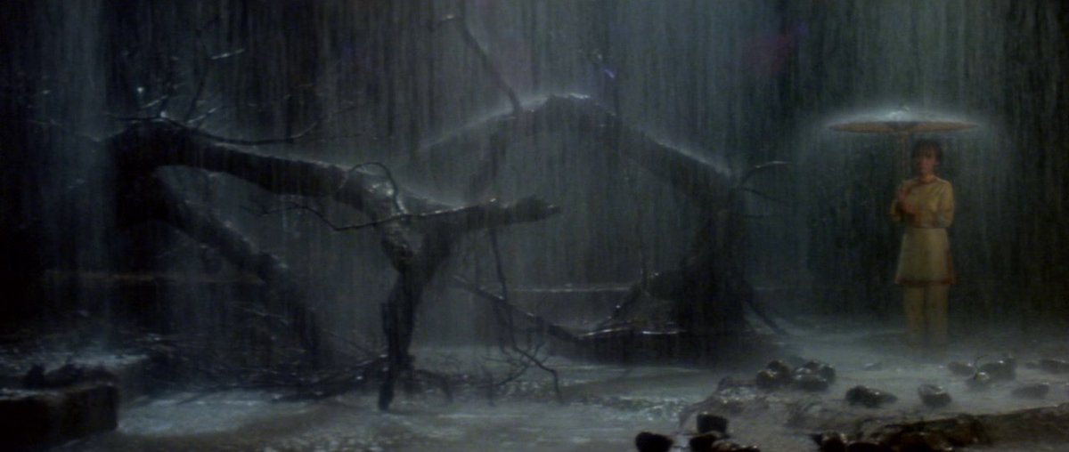 the wreck of a once promising youth tweet media