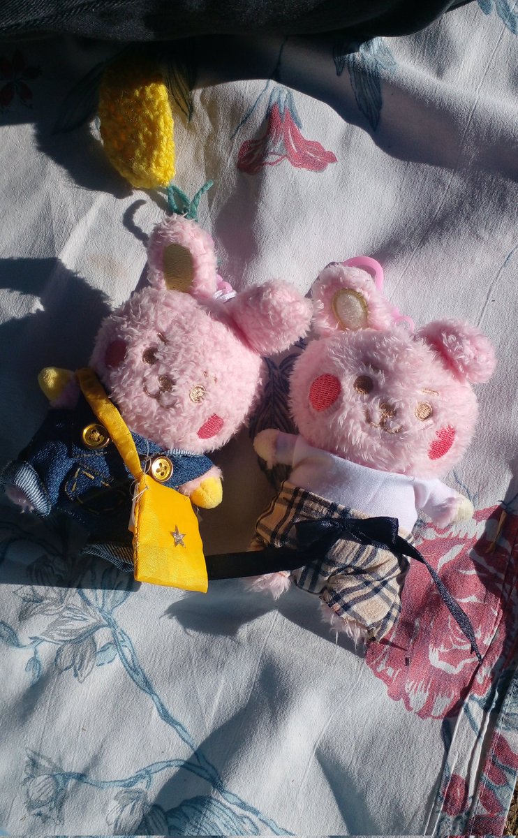 la verdad es que me dio lástima así que también tuve que vestir a su cooky y ahora tenemos mellizos de distintas provincias