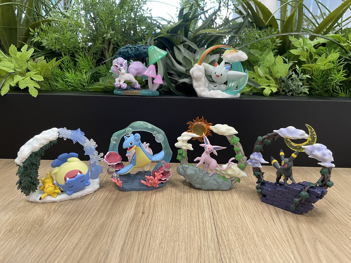 ポケモンだいすきクラブ編集部【公式】 on X: 