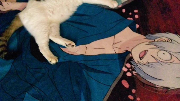 親父は蹴られてる