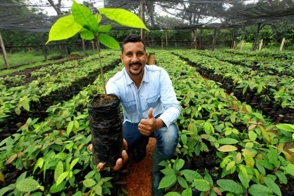 KingWobil's tweet image. The requirement to be compliant for the 2024/25 crop will only add another volatile element to the cocoa price formula.
(Credit to @Czapp_portal)

📸 : @ConfectioneryNw; @CocoaPost; @ATLFM

3/3

#AgriDirectGh #cocoaproduction #cocoavalue #foodsecurity #IvoryCoast #Ghana