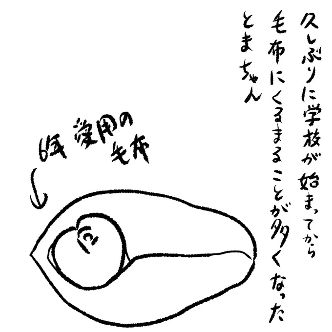 娘の要望に応えたつもりがまさかの○○
(1/2)
#漫画が読めるハッシュタグ 