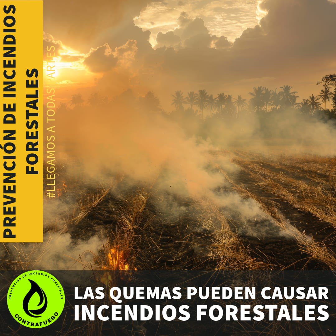 Prevención todo el año
Prevención siempre