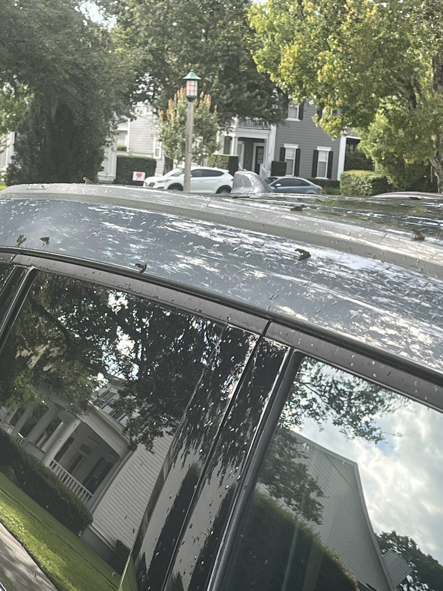 Brian Richards tweet media