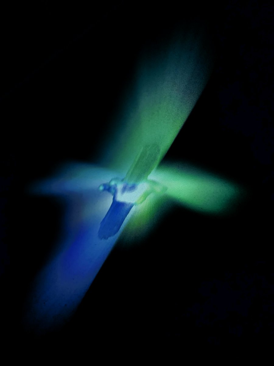 gabe (@circuithour) on Twitter photo 