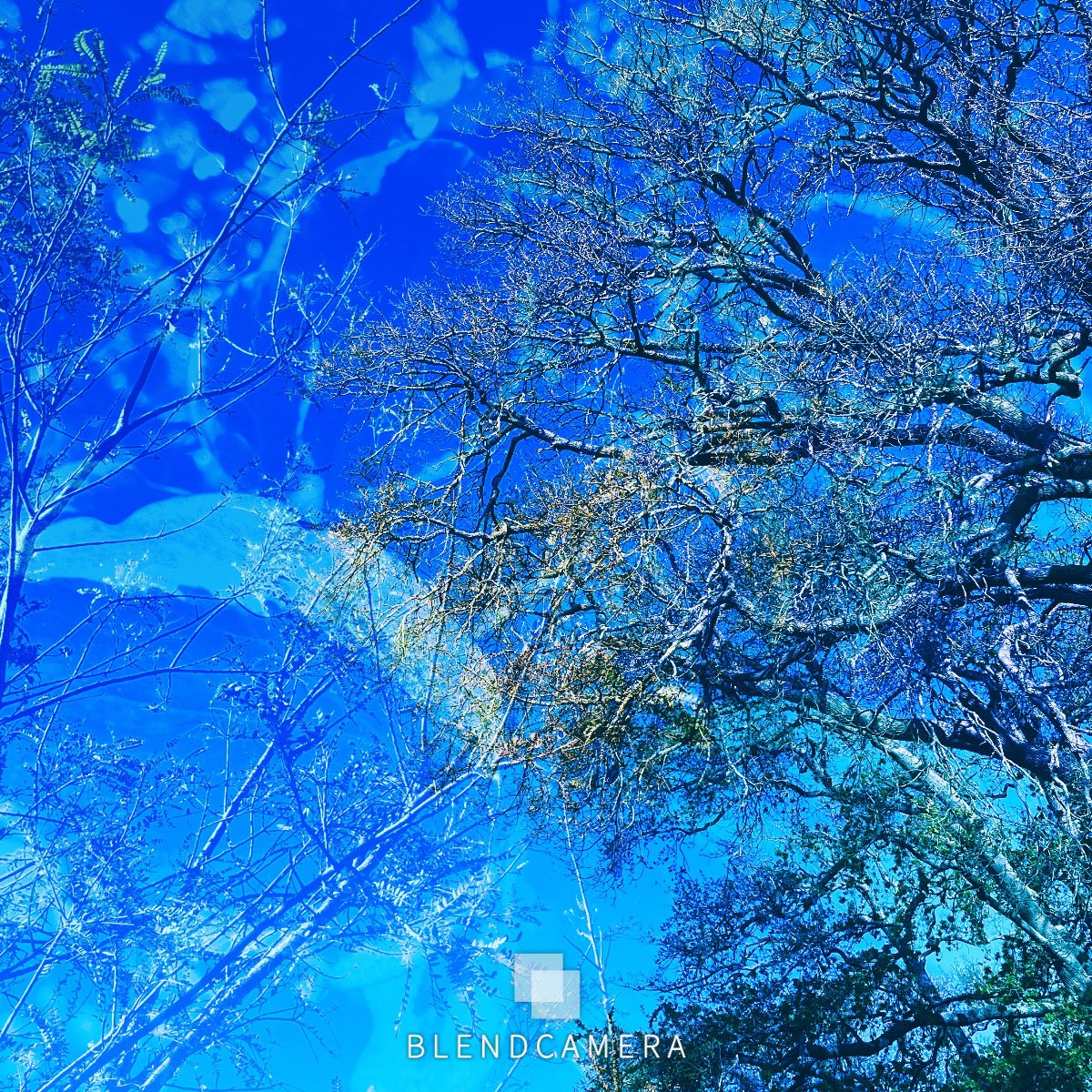 BlendCamera's tweet photo. Triple Exposure
#iphonography #cameraapp #multipleexposure #visualeffects #creativephotography #imageoverlay
#capturecreativity #howtotakephotos 
#doubleexposure #blendcamera #lomo https://t.co/P4imTKG8PG