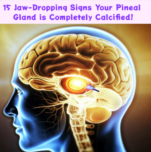 TheCopperCanine's tweet photo. 15 Jaw-Dropping Signs Your Pineal Gland is Completely Calcified! 🧠🪨
1🌍 According to NASA and the heliocentric model, you’re convinced we live on a spinning space ball, whirling and twirling through galaxies at over 2 million miles per hour in four different directions.
2🔭 You believe in the Big Bang Theory, that we came from apes, and that life as we know it is a cosmic accident—including the belief in dinosaurs, yet another hoax.
3📅 You fully accept the Gregorian Calendar as our true timeline without question, unaware that the Vatican is really a satanic evil empire, using religion, race, and politics to promote division—because a divided nation is easier to conquer.
4🛰️ You believe satellites are real, gravity is a magical, unassailable force, and that objects can orbit in space without falling to Earth.
5💉🦠 You believe government-administered vaccines, flu shots, and boosters genuinely protect and build 'immunity,' you trust in viruses and the contagion theory, and you believe that wearing masks and using chemical cleaning products keep you safe.
6🚀 You believe NASA is a space agency and that we really landed on the moon.
7🌐 You believe there are actually 8 billion people living on this "planet."
8☀️ You fear the Sun, believing it’s harmful and causes cancer, rather than recognizing it as the #1 source of life.
9🍔 You believe that processed foods and GMOs are safe and healthy, dismissing the importance of natural, organic diets.
10💊 You believe that pharmaceutical drugs, chemotherapy, and allopathic medicine are the only legitimate ways to treat and cure diseases, disregarding natural remedies.
11🧂🥩 You’ve bought into the idea that salt, saturated fat, and cholesterol are your enemies.
12🗳️ You believe your vote matters and that important candidates are truly "elected" by the people.
13🧠 You believe schools provide genuine education, unaware they are indoctrination centers designed to produce workers rather than critical thinkers—and you trust the rewritten history they teach as the absolute truth.
14📺 You believe everything presented by mainstream media at face value, never questioning the narrative—like the belief that 9/11 wasn’t a false flag operation and controlled demolition.
15🔓 You believe you’re free, not a slave, and that your tax dollars genuinely fund the daily operations of the country, not realizing that you can't do anything without a permit, license, or passport.