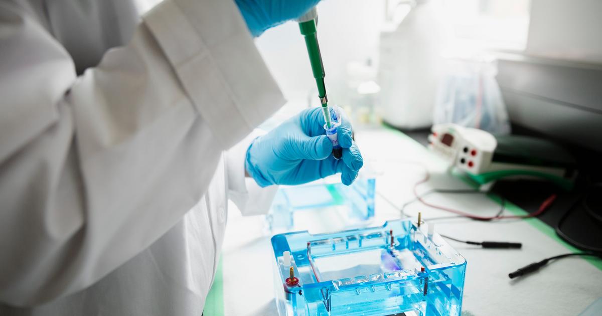 BioMedHack's tweet image. Exploring paternity uncertainty and societal dynamics through DNA testing in Lagos, Nigeria. #PaternityUncertainty #ImmigrationTesting
pulse.ng/news/local/dna… | Follow @biomedhack for #biohacking news to help you live healthier and longer.