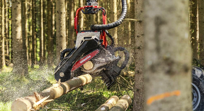 Wood&Panel tweet media