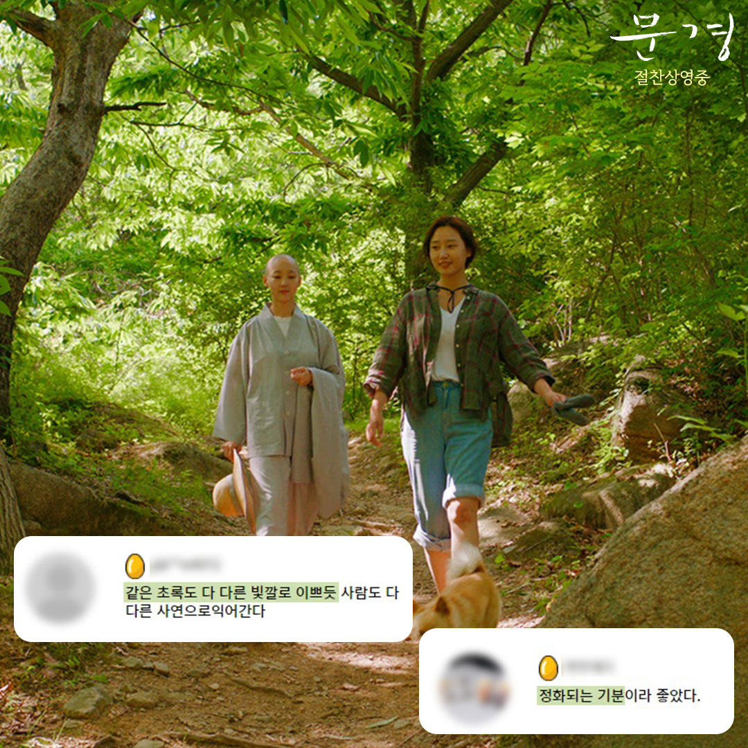"이 영화를 놓칠 뻔 했다니" 🥚CGV 골든 에그지수96% <문경> 실관람 극찬 리뷰✨ 스크린에서 경험하는 최고의 피톤치드 힐링! 놓치지 말고 극장에서...