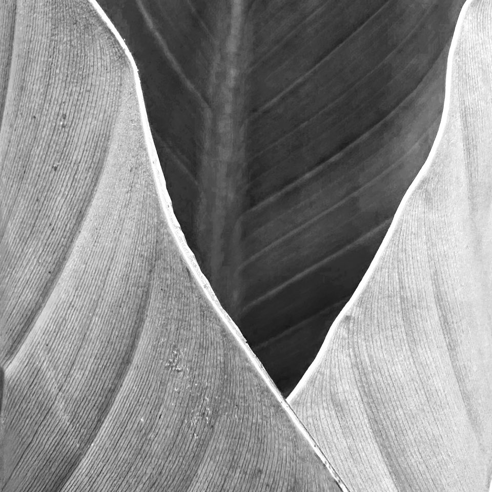 Mon, September 2, 2024
#Project365 246/366