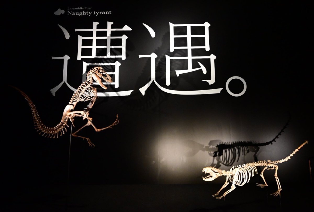 fq7t's tweet photo. 子供のトリケラトプスを軸にした物語仕立てがユニークで、白亜紀末のララミディアにトリップした感じ。
確かに恐竜たちは生きていたんだなぁと実感させる展示だった！
　
レインとスタンの対峙シーンは歯の細部まで観察できるくらい近くて圧巻💥
　
#DinoScience #恐竜科学博 https://t.co/H2OEpc3abS