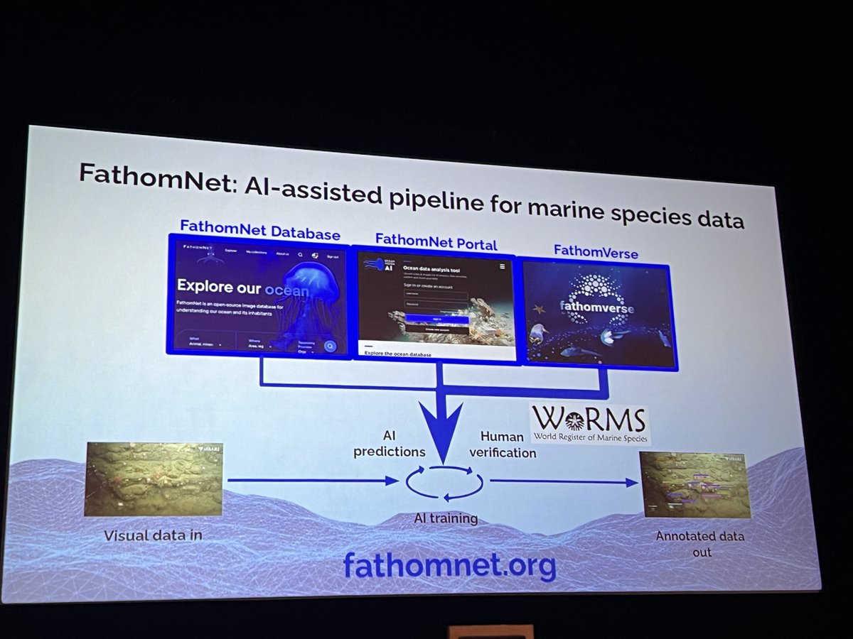 Dr Beery discusses using AI to teach taxonomic expertise to community scientists and confirmed by experts.  She uses FathomNet as an example of this. #TDWG2024 #Citsci