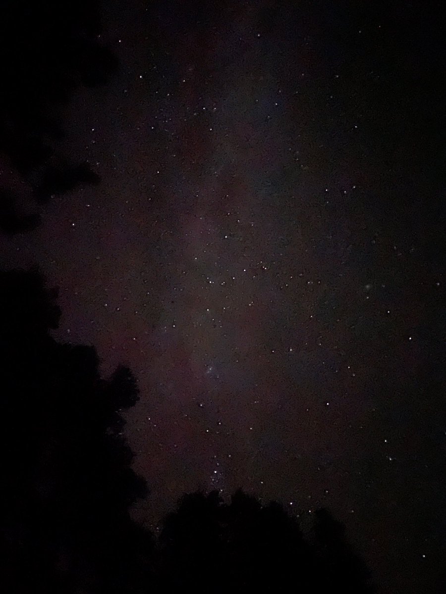 Stars are out tonight! (My iPhone 12 doesn’t do them justice though.)