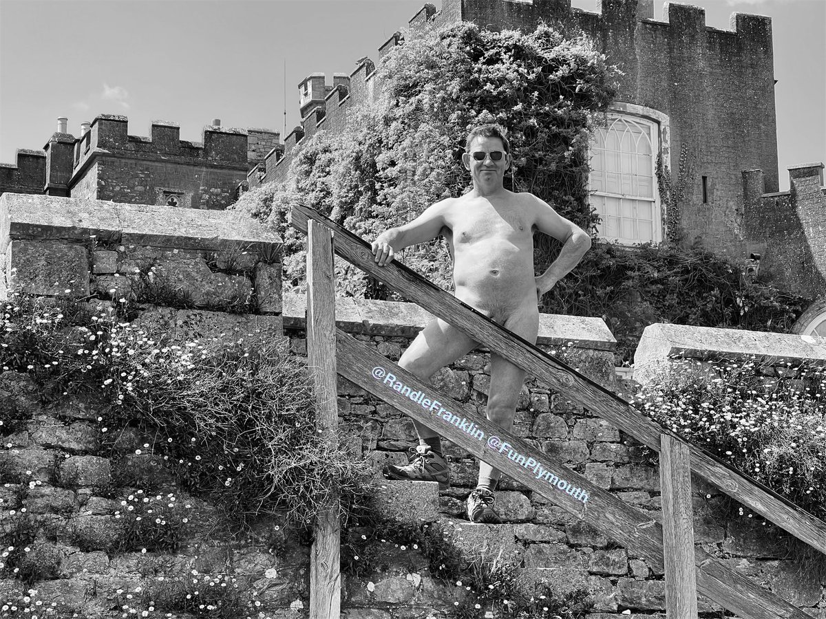 Niffler2019 tweet media