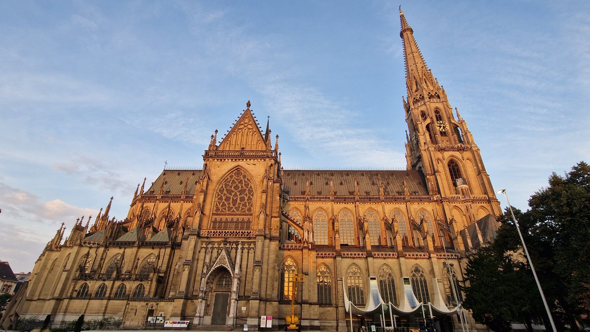 PED-EU-NET tweet media