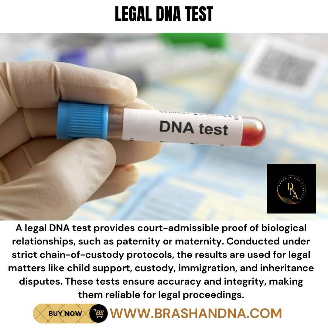 brashandna's tweet photo. Top 3 Mistakes to Avoid When Choosing a Provider for Prenatal DNA Testing
For more, visit > https://t.co/rfJSyulEip
#legaldnapaternitytest #dnapaternitytest #dnatestkit #dnatesting #maternitydnatesting #parentaldnatest #paternitytestkit https://t.co/z378OZuTX5