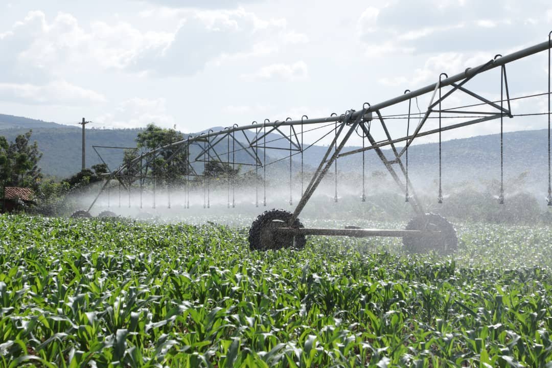 <a href="/RwandaAgri/">Ministry of Agriculture & Animal Resources |Rwanda</a> @AgInfluencersRw <a href="/jcniyomugabo/">Jean Claude NIYOMUGABO</a> <a href="/SangwaSifa/">Sangwa Sifa Florence</a> <a href="/AkezaGermaine/">AKEZA Nkunzurwanda Germaine</a> <a href="/rangira/">Bruno Rangira</a> <a href="/PudenceR/">Pudence RUBINGISA</a> <a href="/DrUwera/">Dr.Claudine Uwera</a> <a href="/EdNgirente/">Edouard Ngirente</a> <a href="/RwandaisOpen/">Rwanda Is Open 🇷🇼</a> <a href="/rbarwanda/">Rwanda Broadcasting Agency (RBA)</a> <a href="/RwandaInfra/">Ministry of Infrastructure | Rwanda</a> <a href="/KireheDistrict/">Kirehe District</a> <a href="/FAORwanda/">FAO in Rwanda</a> <a href="/Lee_Fabricee/">𝐑𝐔𝐆𝐖𝐈𝐑𝐎</a> Center pivot irrigation tech. has helped farmers improve their livelihoods by enabling them to grow crops all year round, and allowing for a more efficient use of inputs, such as water and fertilizer, and by enhancing the yields &amp; quality of the crops they grow.

#AFSForum2024