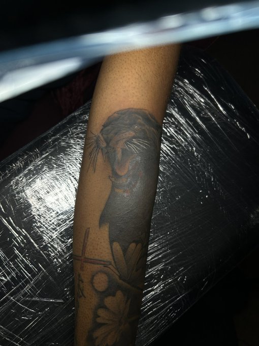 Dontae’s pics and videos