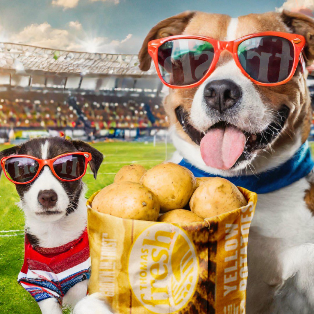 Thomas Fresh tweet media