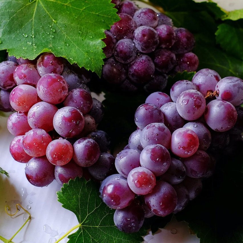 FRUITES DEL MES DE SETEMBRE: Aranyó, codony, figa, gerd, gínjol, grosella, magrana, meló, mora, nabiu, nectarina, pera, poma, préssec, raïm.