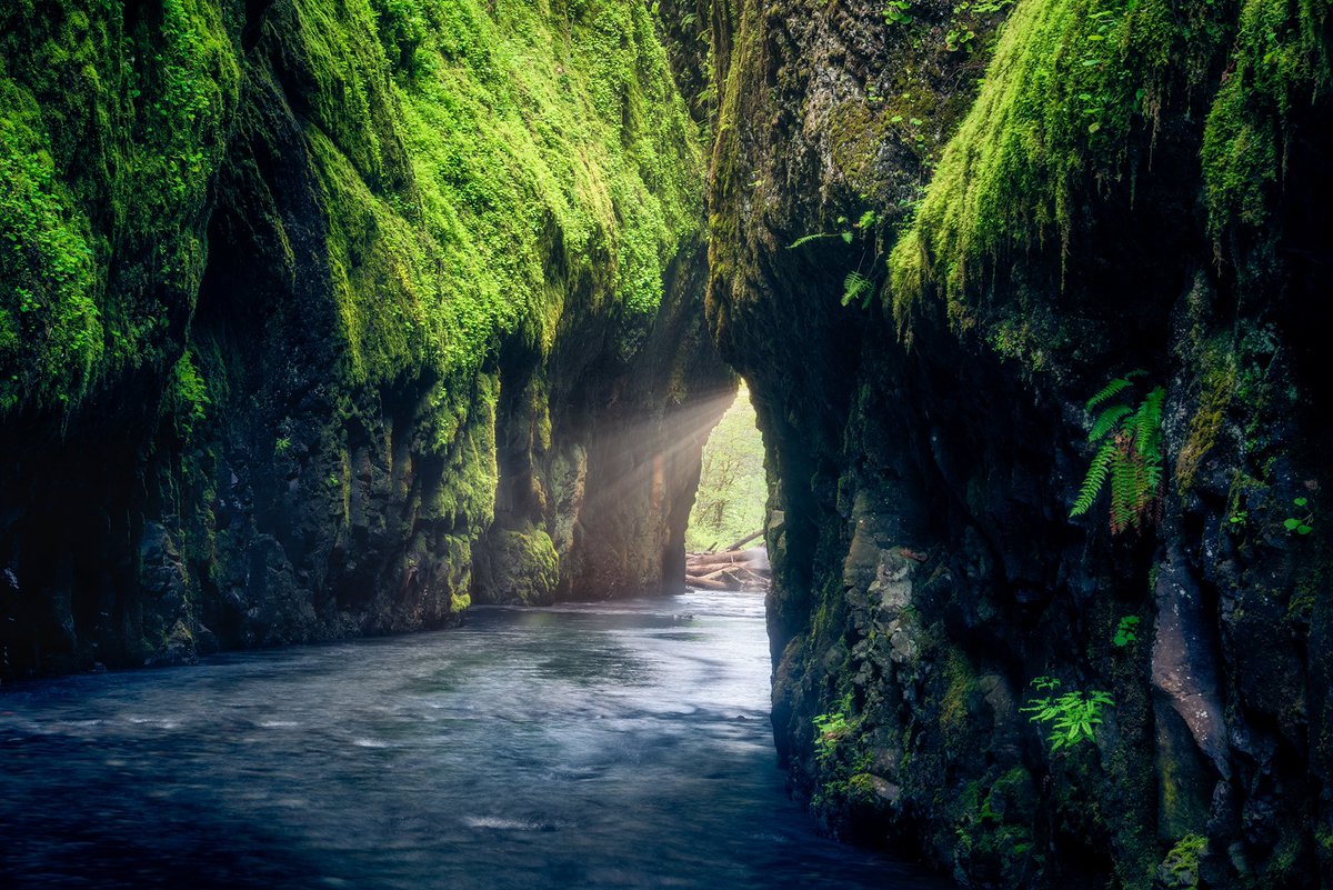 ناصر العثمان tweet media