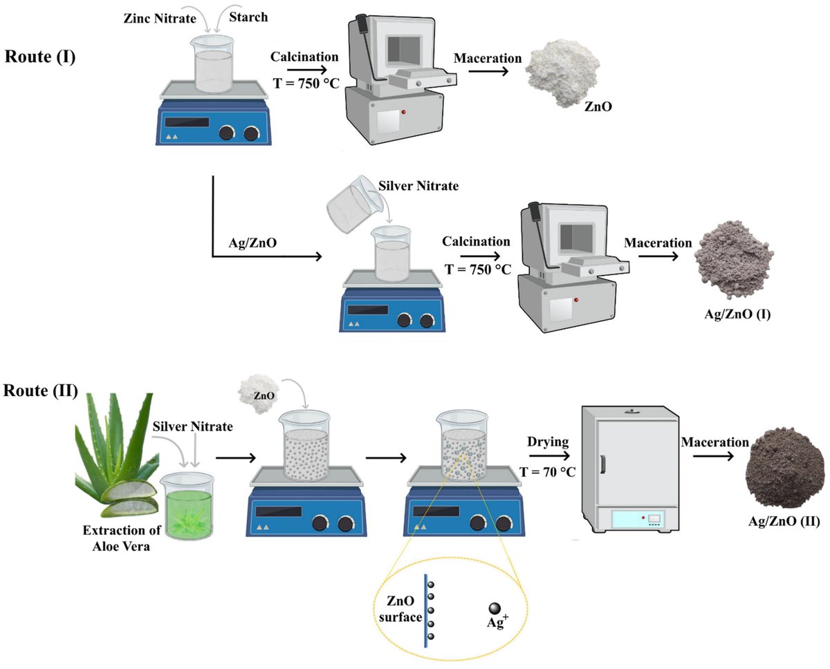 Nano_MDPI's tweet image. 🌟 Highly Cited Paper Spotlight! 🌟

Synthesis and Characterization of Ag/ZnO #Nanoparticles for #Bacteria #Disinfection in Water
By Julia de O. Primo et al.

Access the full paper at: mdpi.com/1642196