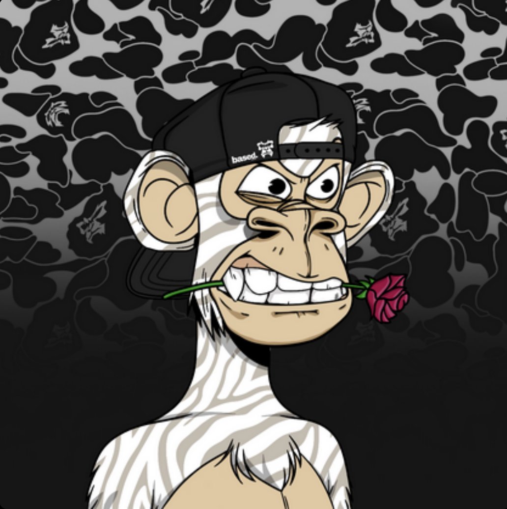 KryptoKing710's tweet image. Check'Em out!!!!  #BASEDAF 
@BasedApeGang