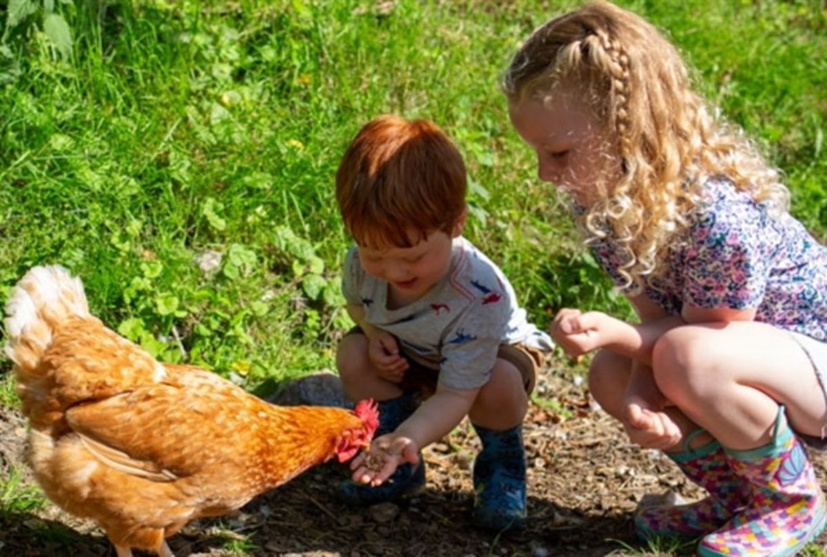 Visit Devon tweet media