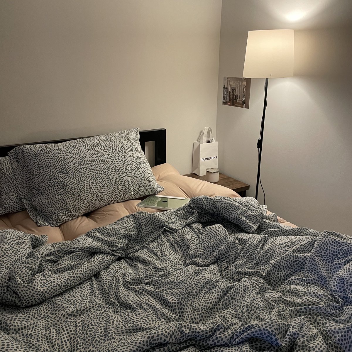 autumn is coming 🍄‍🟫💿⭐️