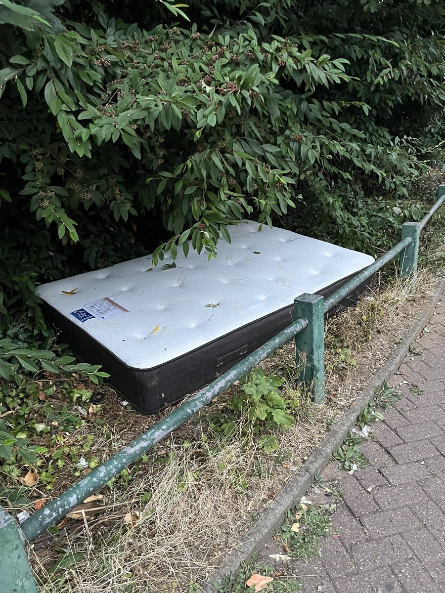 These residents regularly fly-tip by the litter bin and the foliage at this spot. 31 Moor Street residents/tenants. <a href="/lutoncouncil/">Luton Council</a> <a href="/HateWasteCrime/">Luton Council - Safer Neighbourhoods</a> This needs to stop - it’s been going on for years. Some actual, punishment and penalties are needed, otherwise they’ll continue.