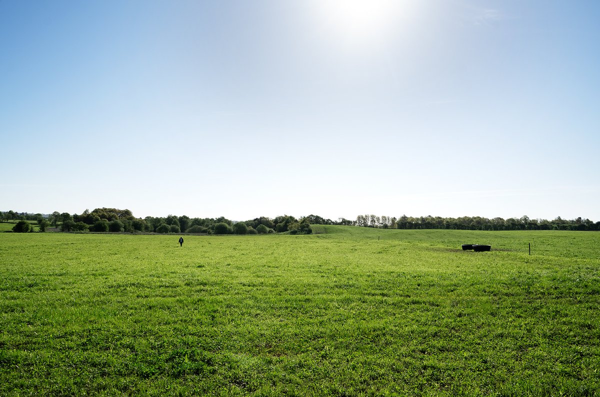 Nu is de tijd om schade aan grasland te herstellen. Welk grasmengsel je kiest, hangt af van je ruwvoerbehoefte en de staat van je perceel. In ons artikel vind je de beste opties om dit jaar jouw grasland te verbeteren en de melkproductie te verhogen ⬇️

ow.ly/24XH50TayJs