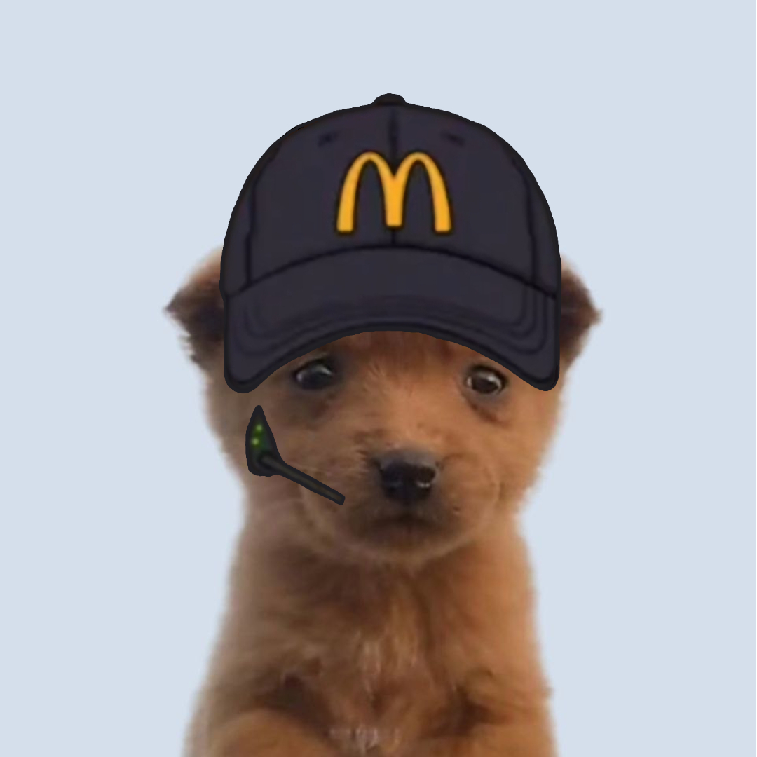 CZesco's tweet image. It's $GOOK, the cutest dog on Sol rn. CTO from day one, we kept the floor and now we trending and sending, ape in.