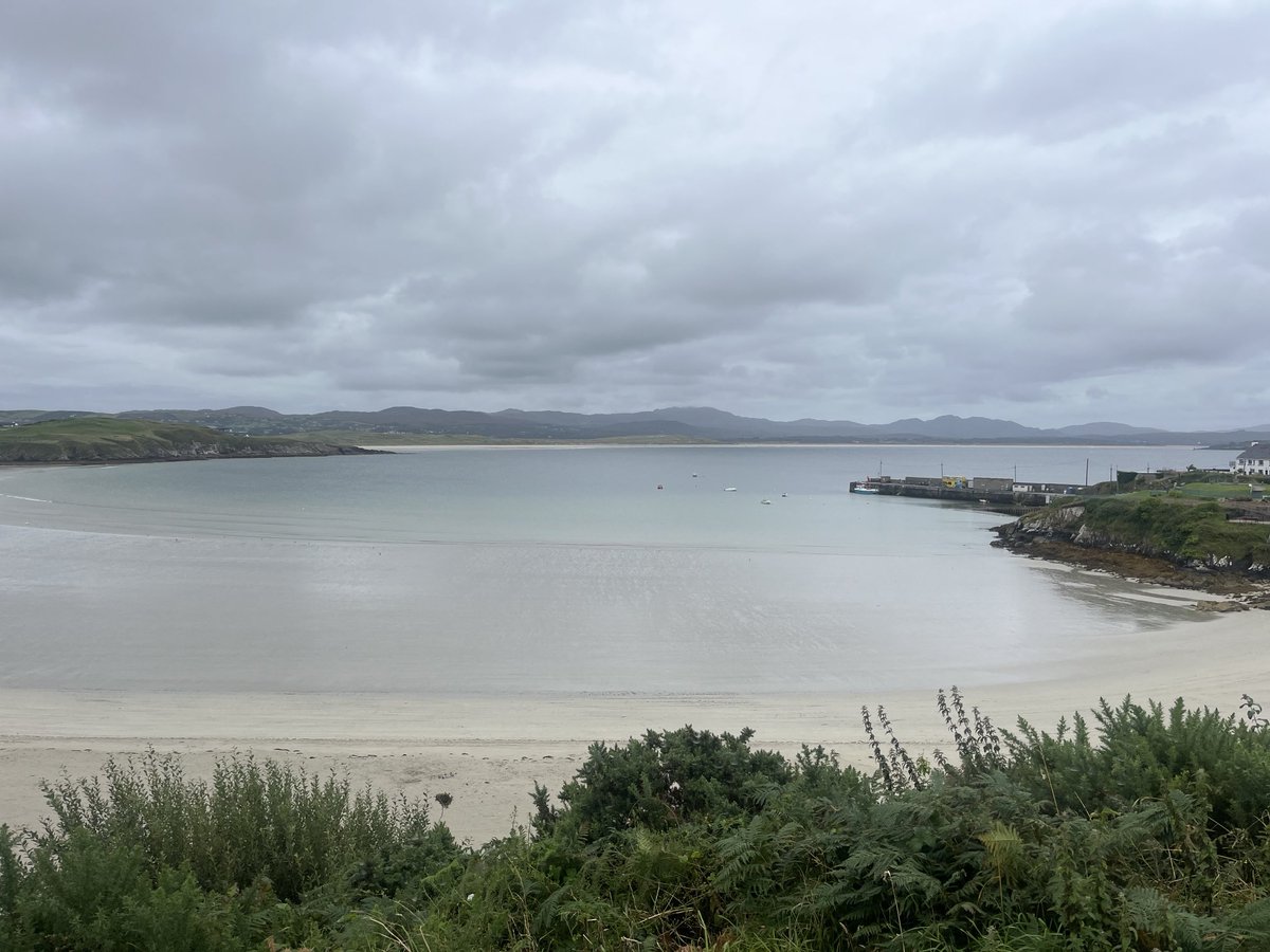 kathydjourno tweet media