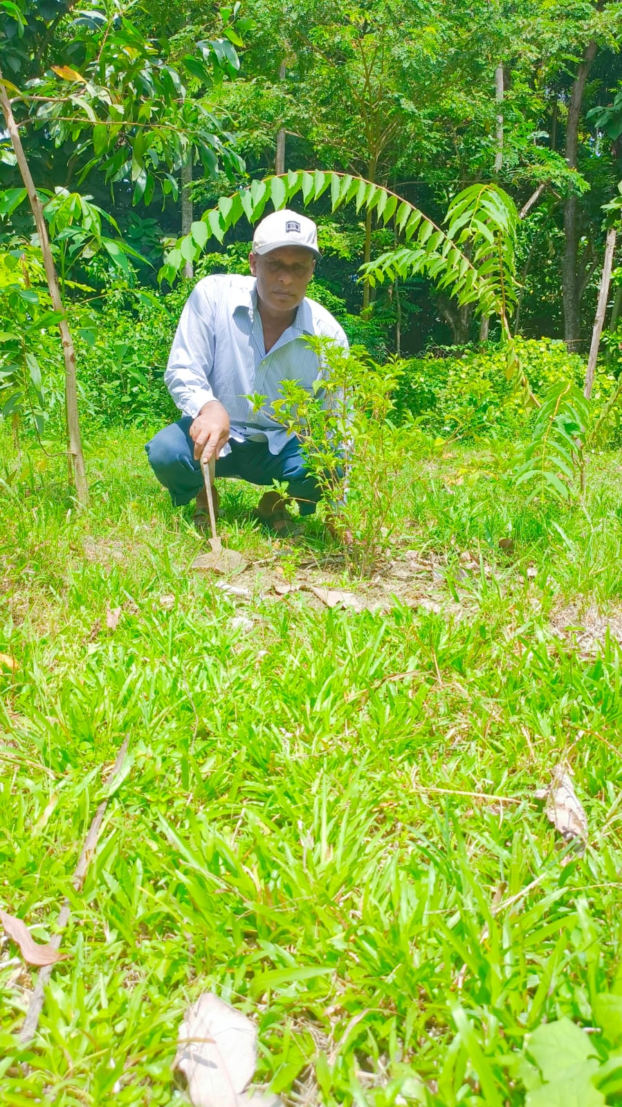 প্রাণ প্রকৃতি রক্ষা ও সংরক্ষণে অবদান রাখায় – জাতীয় পুরস্কার অর্জন করেছেন অধ্যাপক হাসমত