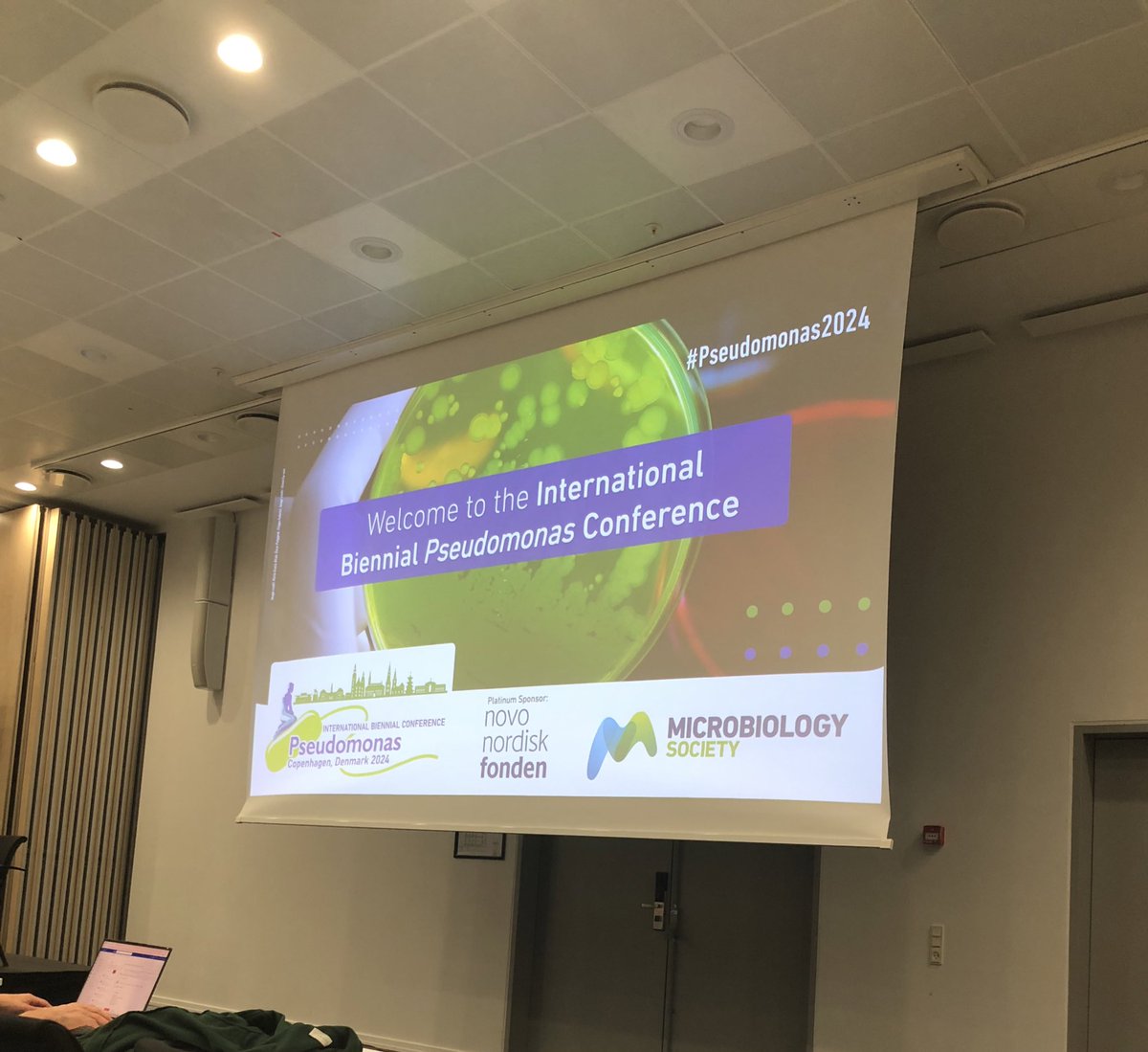 LabRatIz's tweet photo. Just finished our first session of talks- there’s a lot of great science going on out there! #Pseudomonas2024 https://t.co/FTncet0tzD