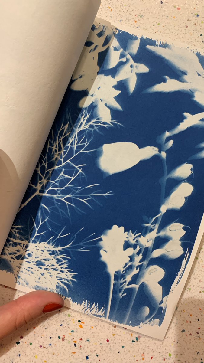Have you heard?
We're taking part in <a href="/heritageopenday/">Heritage Open Days</a> come and create your very own Cyanotype Blue Plaque Print here at Swarthmore
Join us on 07/09 at either 10am or 1pm for this FREE workshop.
Reserve your place on Eventbrite here &gt;&gt;&gt; bit.ly/3MrObQX