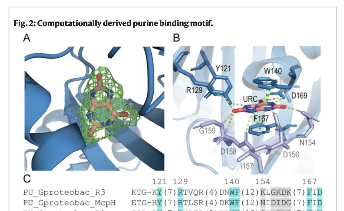 If you missed it, take a minute to look at our recent publication on Purine receptor description from X-r data from <a href="/ALBAsynchrotron/">Sincrotró ALBA💡</a> &amp; <a href="/esrfsynchrotron/">European Synchrotron</a>.
disq.us/t/4pmf7gu
A great collab. with <a href="/Eli_Monteagudo/">Elizabet Monteagudo Cascales</a>,  <a href="/KrellLaboratory/">Krell Laboratory</a>, <a href="/miguel_matilla/">Miguel_Matilla</a>, <a href="/zhulinlab/">Zhulin Lab</a>, <a href="/VadimMGumerov/">Vadim Gumerov</a>...