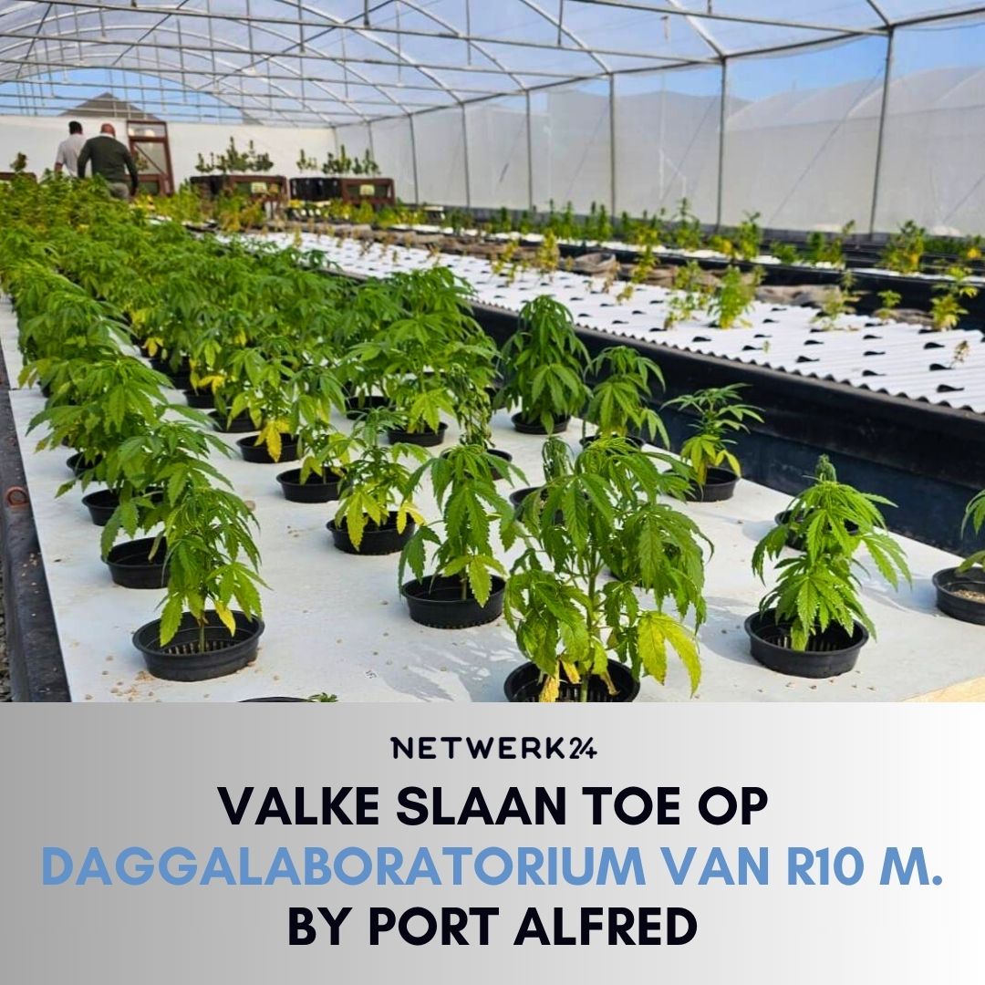volksbladnuus's tweet photo. Vyf mense is vas nadat die Valke op ’n onwettige hidroponiese daggalaboratorium net buite Port Alfred toegeslaan het. || #PortAlfred #Valke #weed
https://t.co/0NAZyf5dFw https://t.co/aPnN3JRMaM
