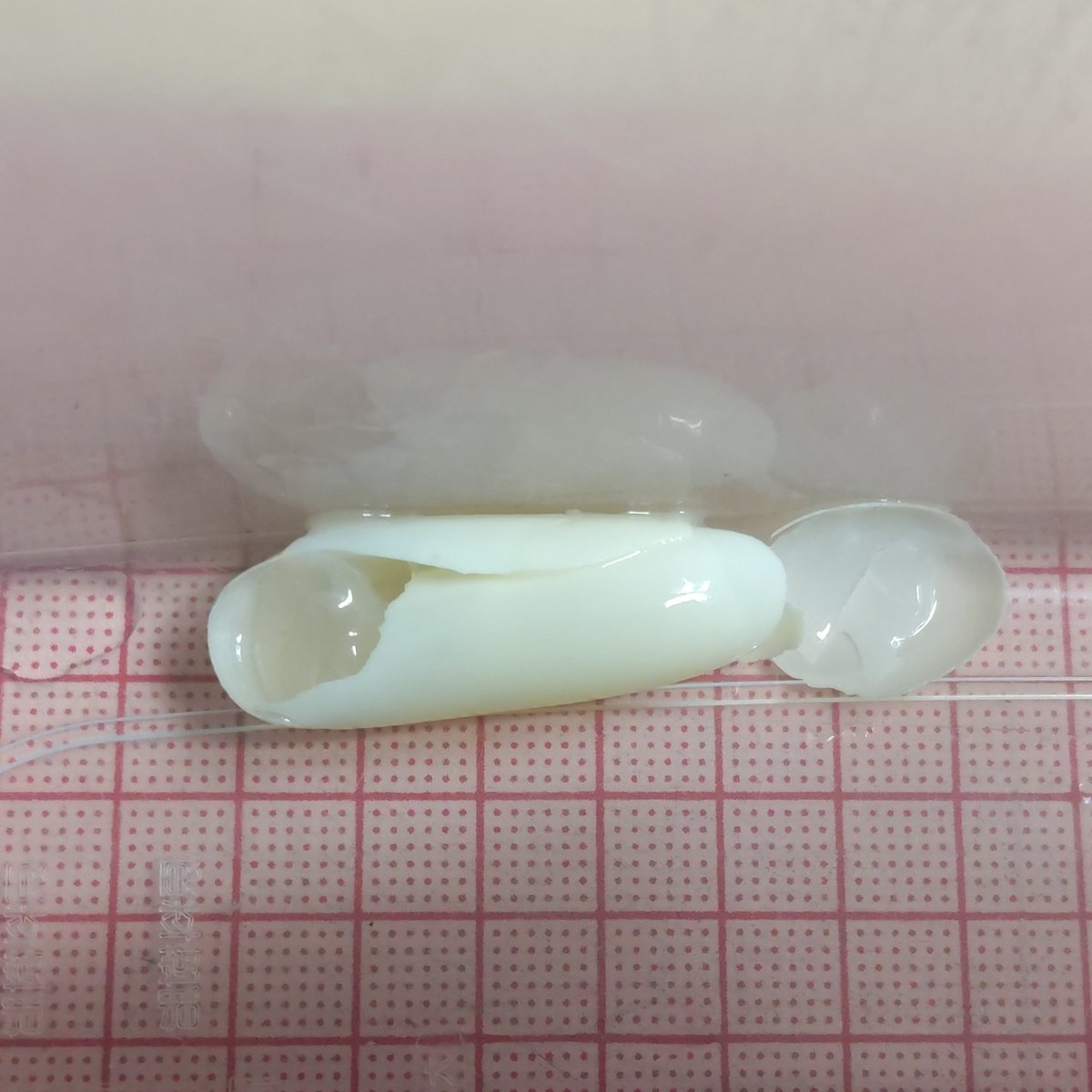 DrillUsagi's tweet photo. #果芽実さんお卵 今日も1個産み、食べていました。4センチ超えのお卵だったようです。あと一つあるので安産でありますように。果芽実さんえらい！ https://t.co/UOEPwExb2A