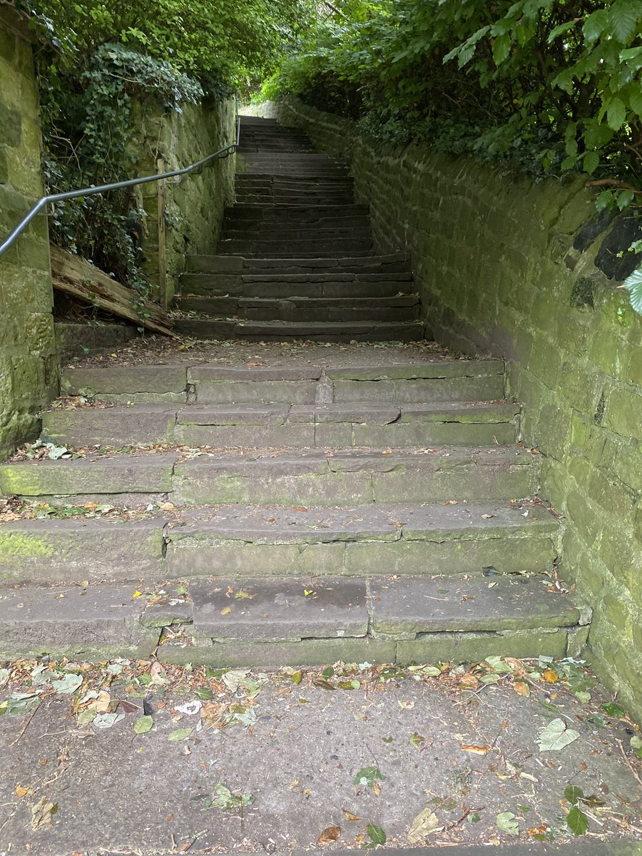 KboroCivicSoc's tweet image. Help us name a set of steps in Knaresborough! 🏞️ What would you call these historic steps that currently have no name? Share your ideas below! #Knaresborough #Waterside #BrewertonStreet #BebraGardens