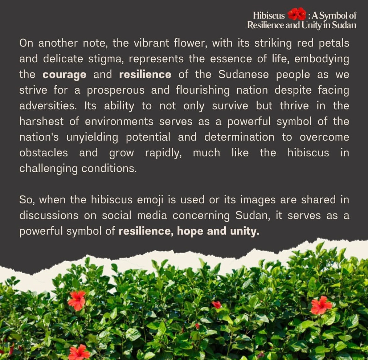 𓂀 gha*da 𓋹 #SaveElFashir tweet media