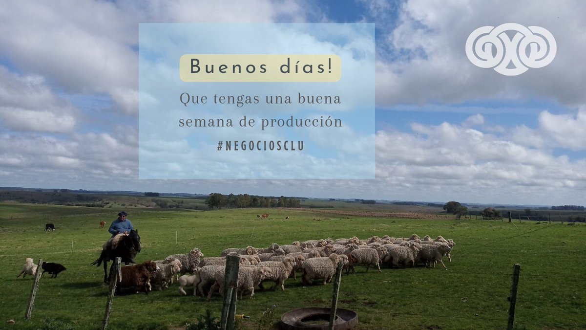 #NegociosCLU
La manera cooperativa de hacer las cosas