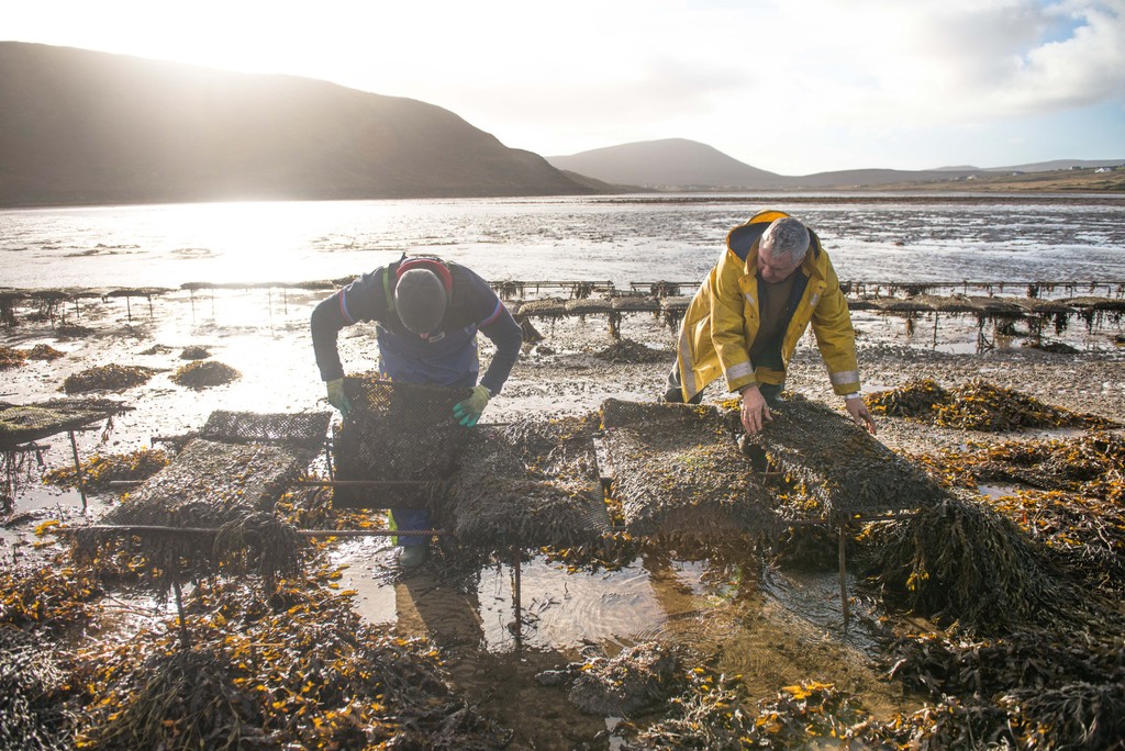 TheTaste.ie tweet media