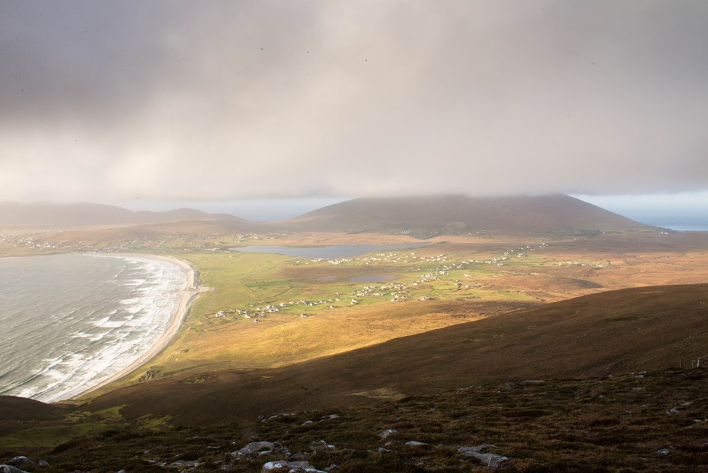 TheTaste.ie tweet media